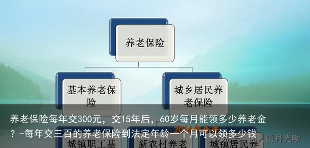 养老保险每年交300元,交15年后,60岁每月能领多少养老金?-每年交三百的养老保险到法定年龄一个月可以领多少钱