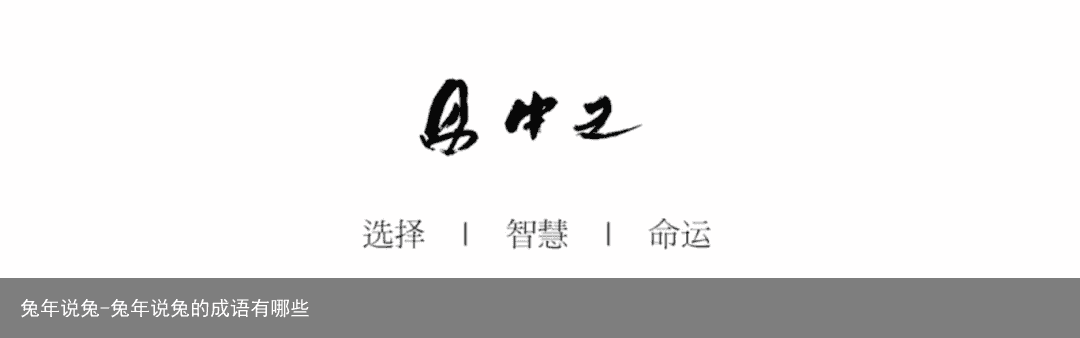 兔年说兔-兔年说兔的成语有哪些