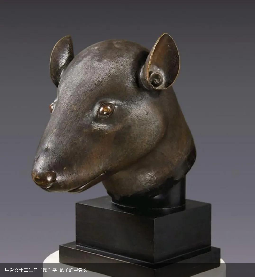 甲骨文十二生肖“鼠”字-鼠子的甲骨文