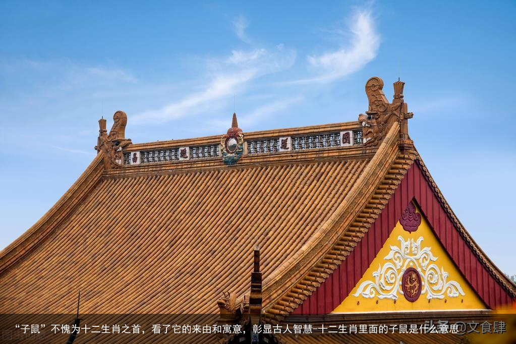 “子鼠”不愧为十二生肖之首,看了它的来由和寓意,彰显古人智慧-十二生肖里面的子鼠是什么意思