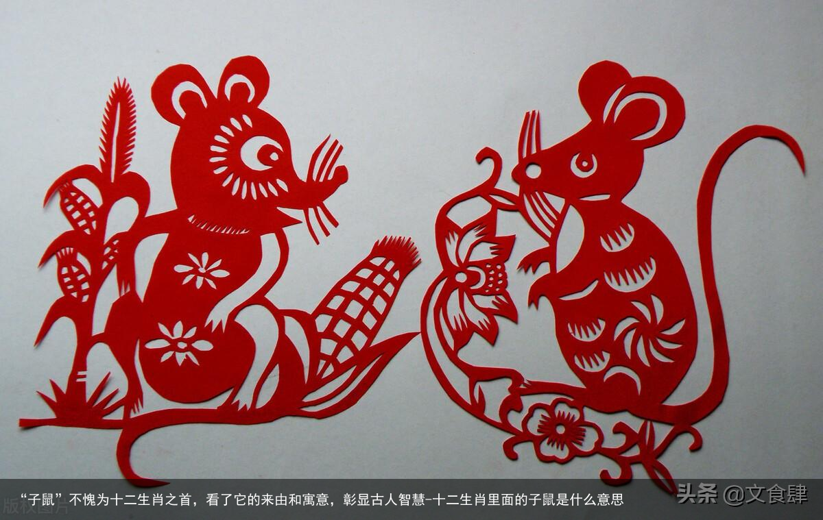 “子鼠”不愧为十二生肖之首,看了它的来由和寓意,彰显古人智慧-十二生肖里面的子鼠是什么意思