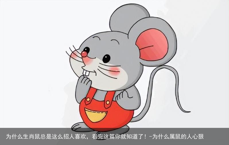 为什么生肖鼠总是这么招人喜欢,看完这篇你就知道了!-为什么属鼠的人心狠