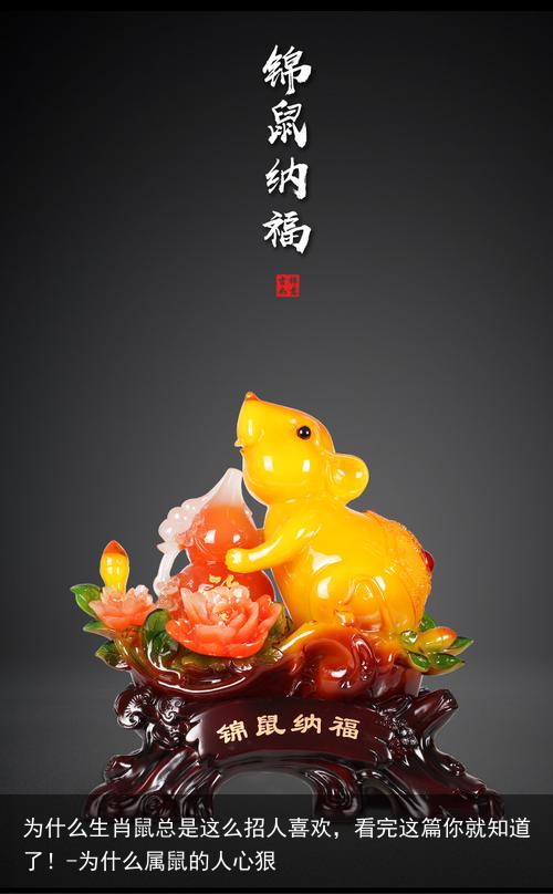 为什么生肖鼠总是这么招人喜欢,看完这篇你就知道了!-为什么属鼠的人心狠