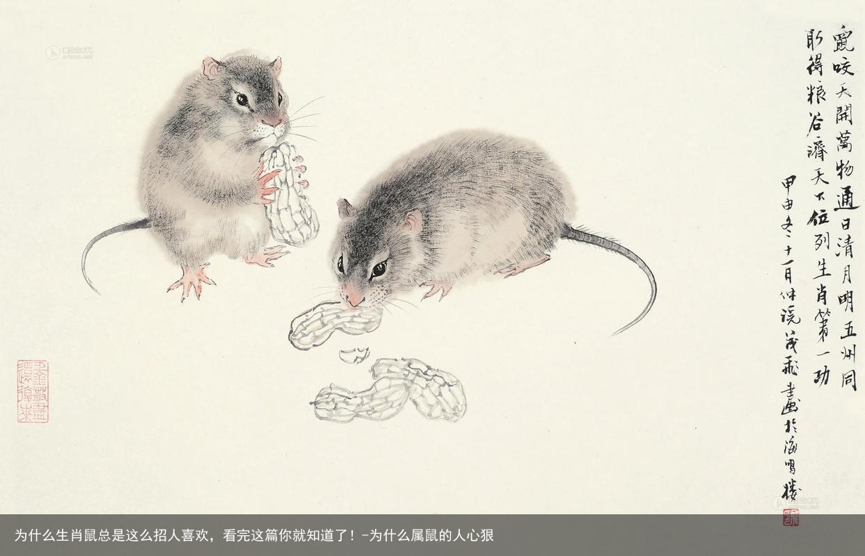 为什么生肖鼠总是这么招人喜欢,看完这篇你就知道了!-为什么属鼠的人心狠