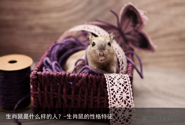 生肖鼠是什么样的人?-生肖鼠的性格特征