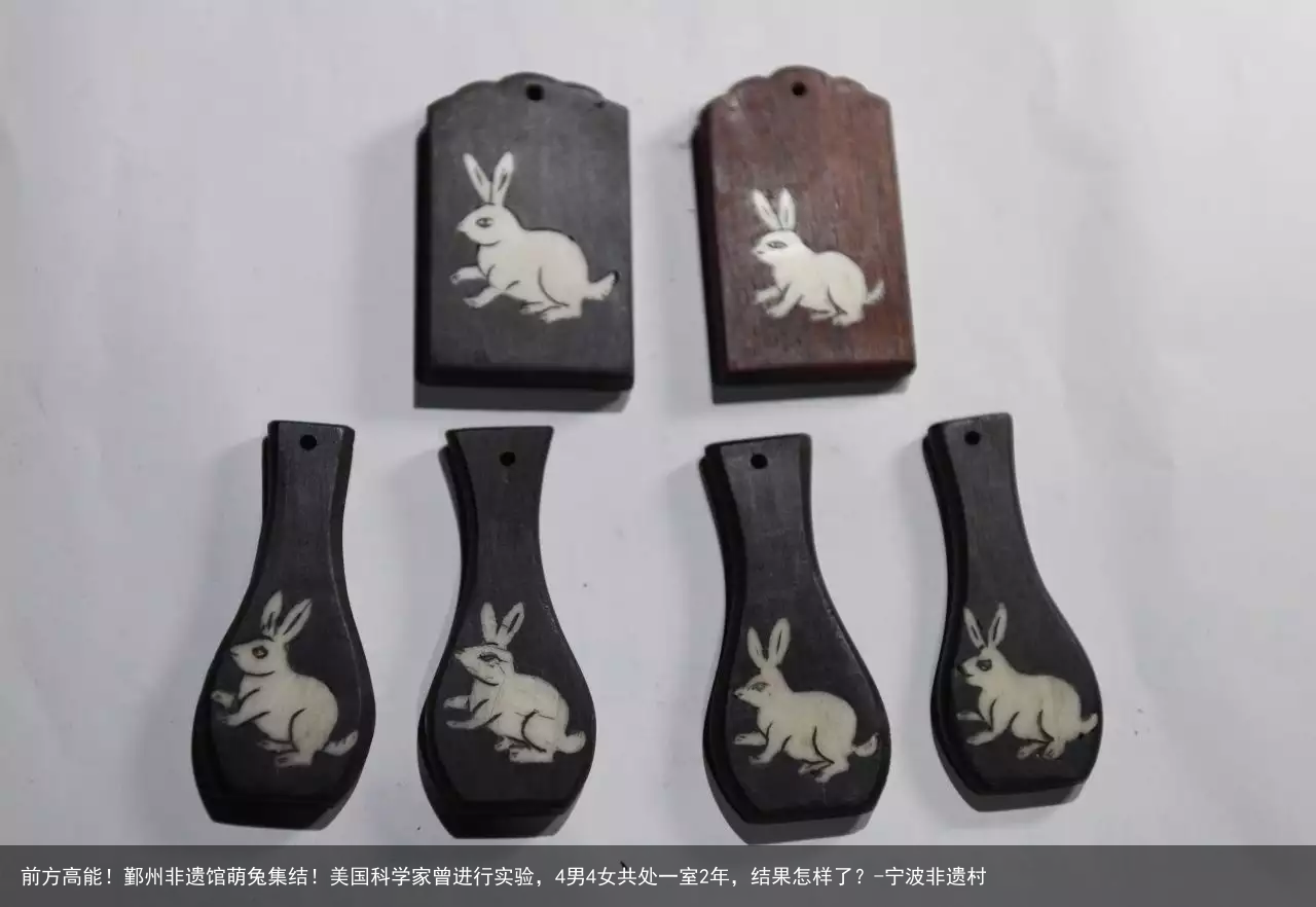 前方高能!鄞州非遗馆萌兔集结!美国科学家曾进行实验,4男4女共处一室2年,结果怎样了?-宁波非遗村