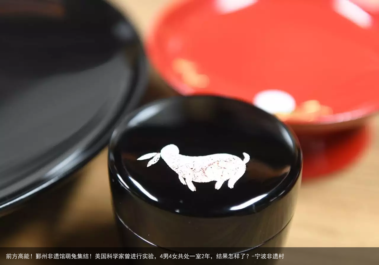 前方高能!鄞州非遗馆萌兔集结!美国科学家曾进行实验,4男4女共处一室2年,结果怎样了?-宁波非遗村