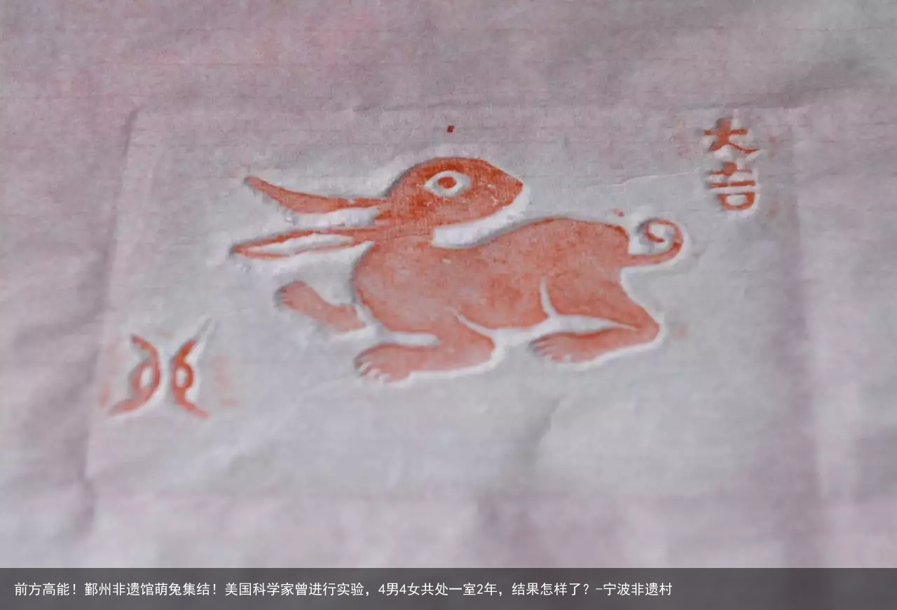 前方高能!鄞州非遗馆萌兔集结!美国科学家曾进行实验,4男4女共处一室2年,结果怎样了?-宁波非遗村