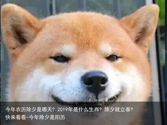 今年农历除夕是哪天? 2019年是什么生肖? 除夕就立春? 快来看看-今年除夕是阳历