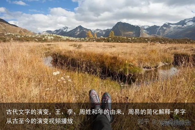 古代文字的演变,王、李、周姓和年的由来,周易的简化解释-李字从古至今的演变视频播放