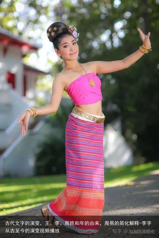 古代文字的演变,王、李、周姓和年的由来,周易的简化解释-李字从古至今的演变视频播放