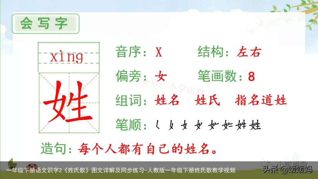 一年级下册语文识字2《姓氏歌》图文详解及同步练习-人教版一年级下册姓氏歌教学视频