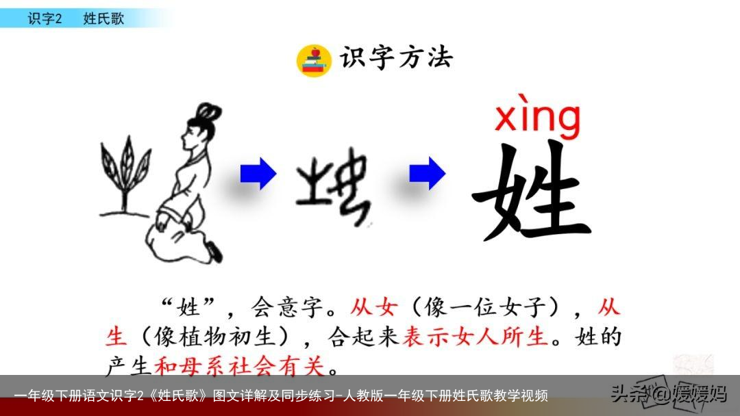 一年级下册语文识字2《姓氏歌》图文详解及同步练习-人教版一年级下册姓氏歌教学视频