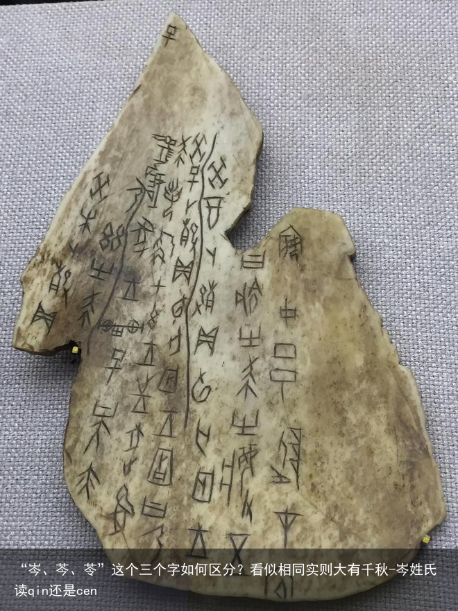 “岑、芩、苓”这个三个字如何区分?看似相同实则大有千秋-岑姓氏读qin还是cen