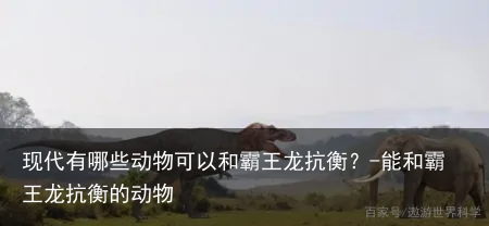 现代有哪些动物可以和霸王龙抗衡?-能和霸王龙抗衡的动物