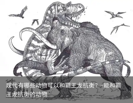 现代有哪些动物可以和霸王龙抗衡?-能和霸王龙抗衡的动物
