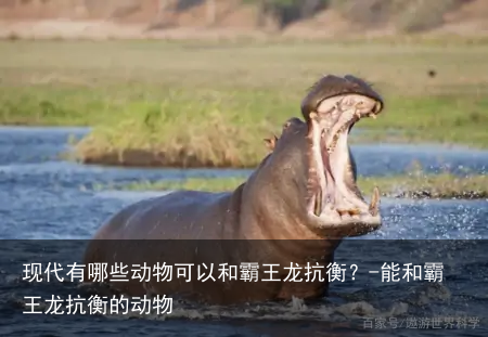 现代有哪些动物可以和霸王龙抗衡?-能和霸王龙抗衡的动物