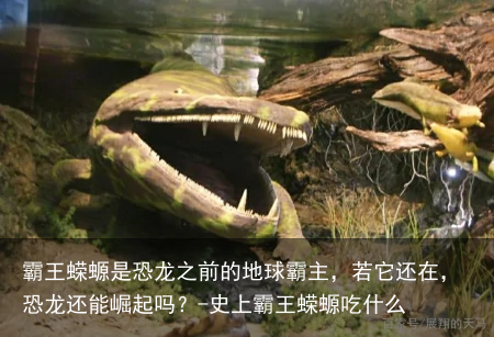 霸王蝾螈是恐龙之前的地球霸主,若它还在,恐龙还能崛起吗?-史上霸王蝾螈吃什么