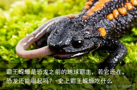 霸王蝾螈是恐龙之前的地球霸主,若它还在,恐龙还能崛起吗?-史上霸王蝾螈吃什么
