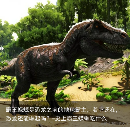 霸王蝾螈是恐龙之前的地球霸主,若它还在,恐龙还能崛起吗?-史上霸王蝾螈吃什么