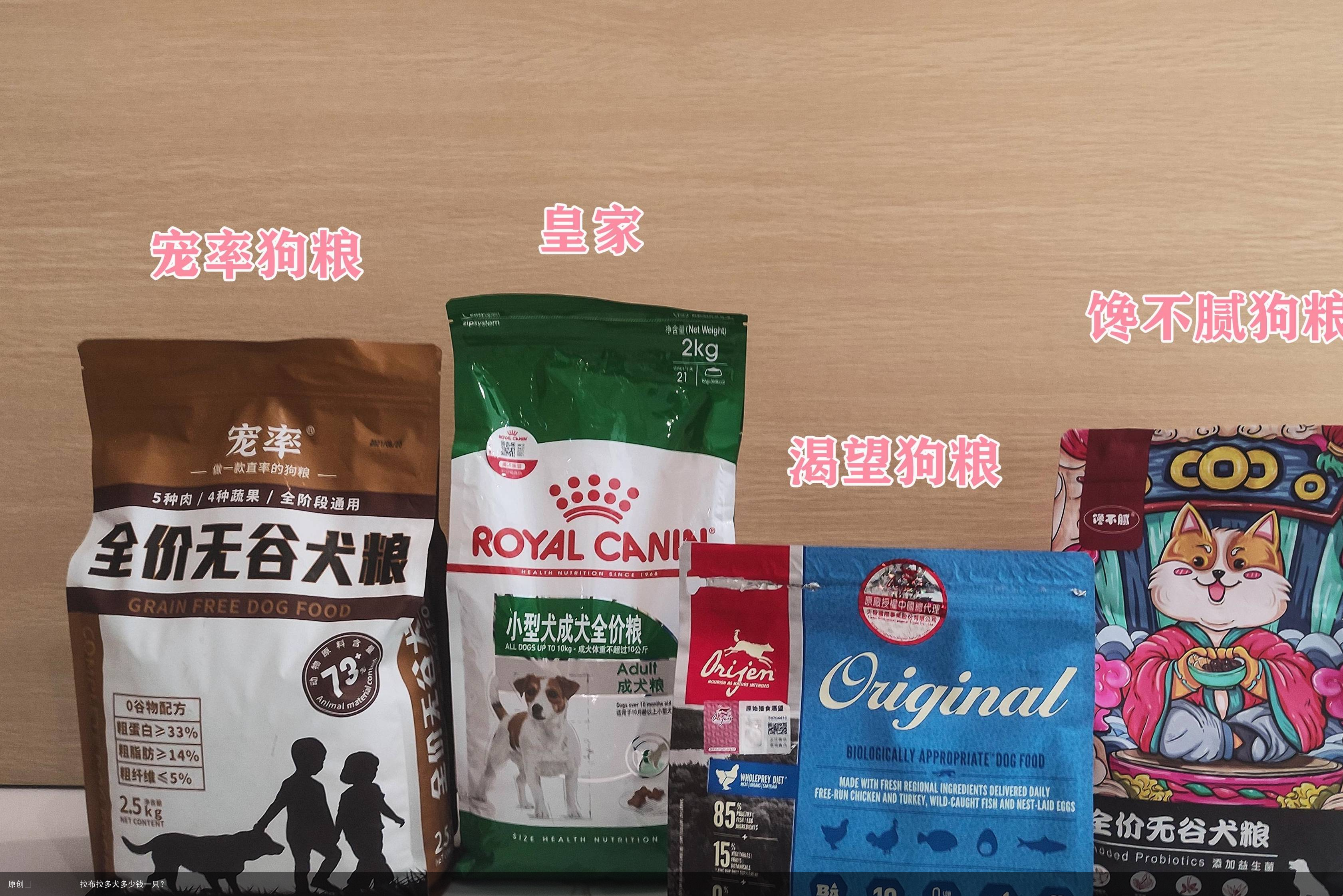 拉布拉多犬多少钱一只?