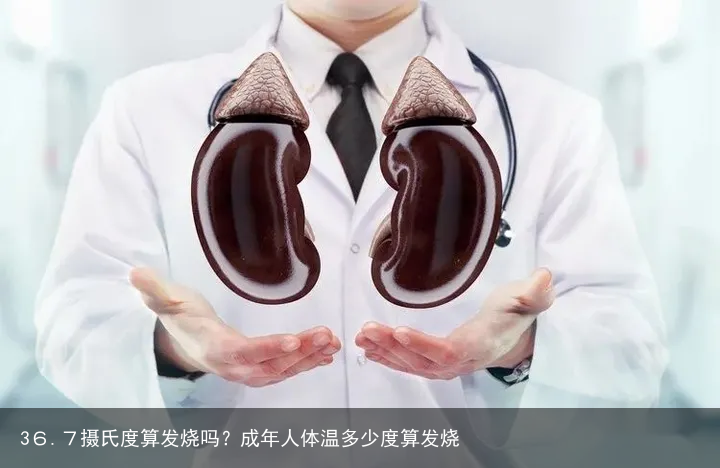 36.7摄氏度算发烧吗?成年人体温多少度算发烧