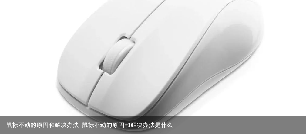 鼠标不动的原因和解决办法-鼠标不动的原因和解决办法是什么