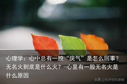 心理学:心中总有一股“戾气”是怎么回事?无名火到底是什么火?-心里有一股无名火是什么原因