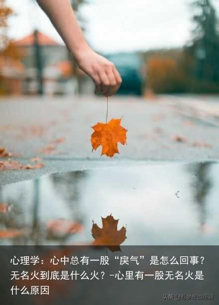 心理学:心中总有一股“戾气”是怎么回事?无名火到底是什么火?-心里有一股无名火是什么原因