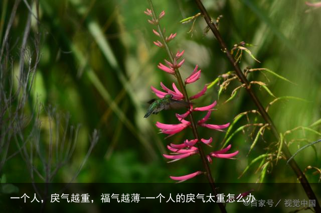 一个人,戾气越重,福气越薄-一个人的戾气太重怎么办