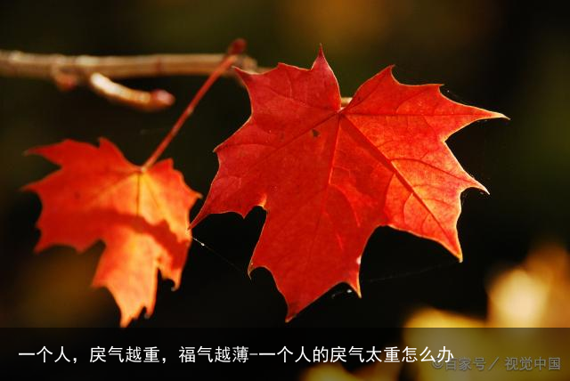 一个人,戾气越重,福气越薄-一个人的戾气太重怎么办