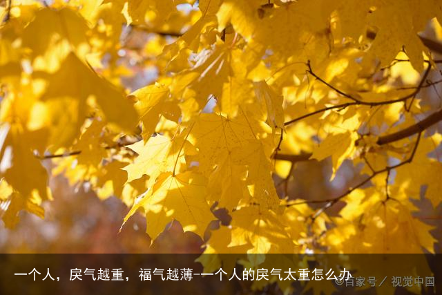 一个人,戾气越重,福气越薄-一个人的戾气太重怎么办