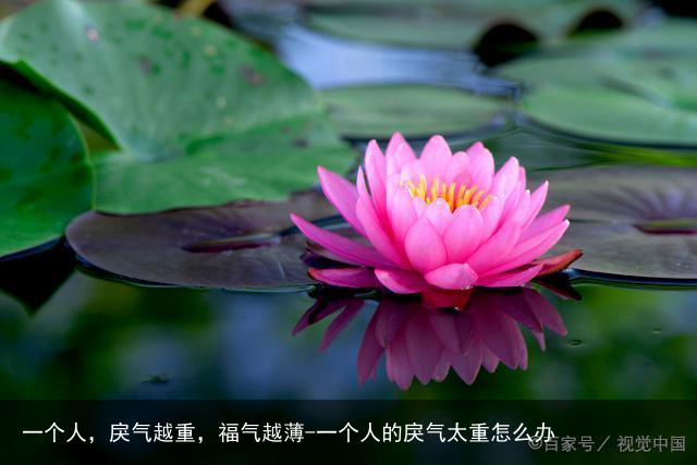 一个人,戾气越重,福气越薄-一个人的戾气太重怎么办