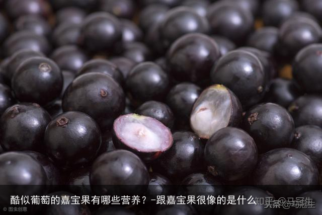 酷似葡萄的嘉宝果有哪些营养?-跟嘉宝果很像的是什么