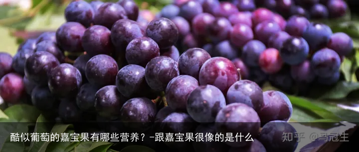 酷似葡萄的嘉宝果有哪些营养?-跟嘉宝果很像的是什么