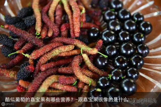 酷似葡萄的嘉宝果有哪些营养?-跟嘉宝果很像的是什么