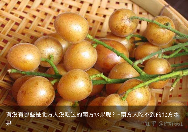 有没有哪些是北方人没吃过的南方水果呢?-南方人吃不到的北方水果