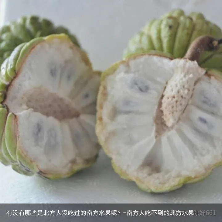 有没有哪些是北方人没吃过的南方水果呢?-南方人吃不到的北方水果