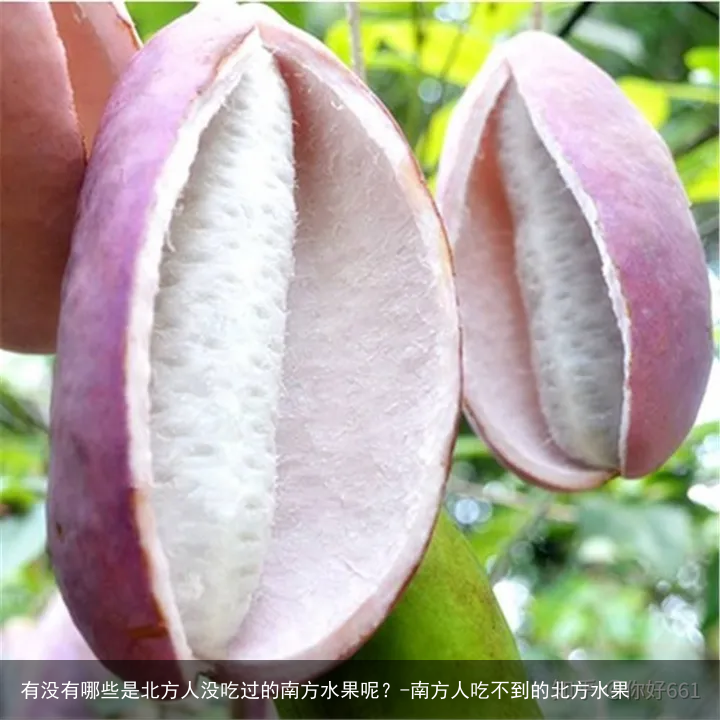 有没有哪些是北方人没吃过的南方水果呢?-南方人吃不到的北方水果