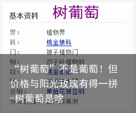 “树葡萄”不是葡萄!但价格与阳光玫瑰有得一拼-树葡萄是啥