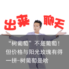 “树葡萄”不是葡萄!但价格与阳光玫瑰有得一拼-树葡萄是啥