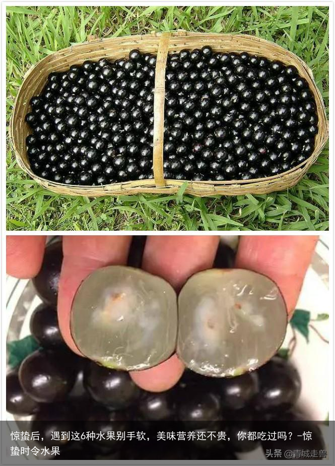 惊蛰后,遇到这6种水果别手软,美味营养还不贵,你都吃过吗?-惊蛰时令水果