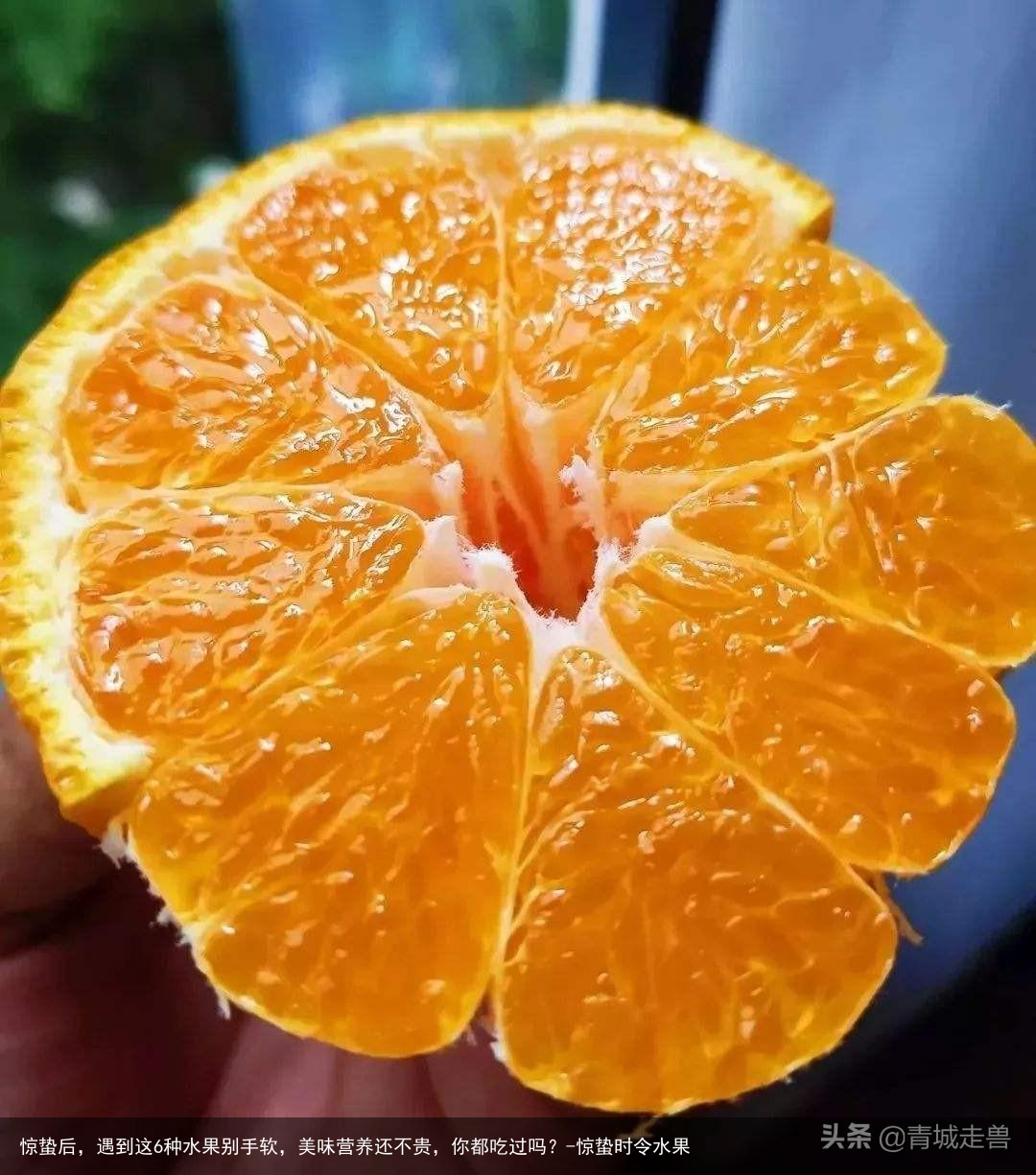 惊蛰后,遇到这6种水果别手软,美味营养还不贵,你都吃过吗?-惊蛰时令水果