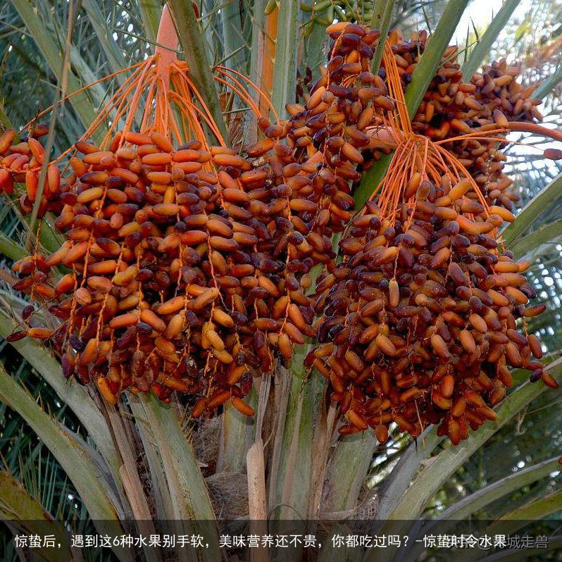 惊蛰后,遇到这6种水果别手软,美味营养还不贵,你都吃过吗?-惊蛰时令水果