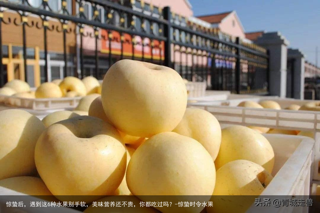 惊蛰后,遇到这6种水果别手软,美味营养还不贵,你都吃过吗?-惊蛰时令水果