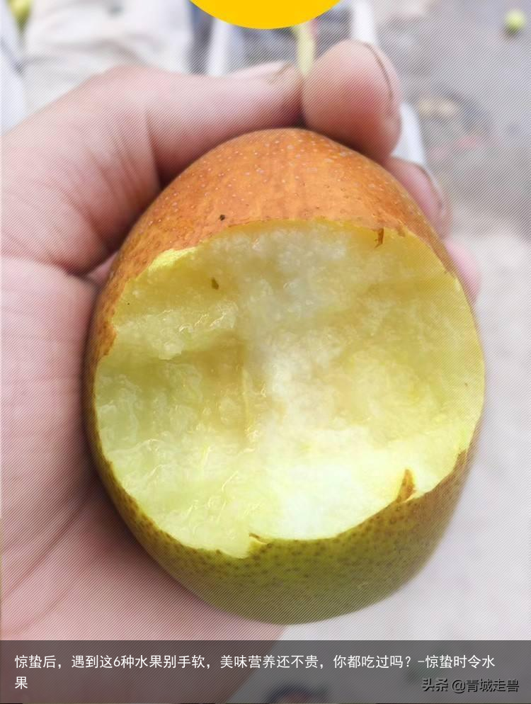 惊蛰后,遇到这6种水果别手软,美味营养还不贵,你都吃过吗?-惊蛰时令水果