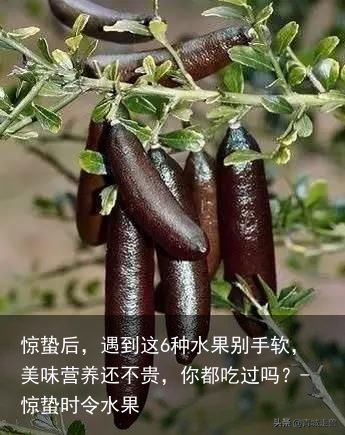 惊蛰后,遇到这6种水果别手软,美味营养还不贵,你都吃过吗?-惊蛰时令水果