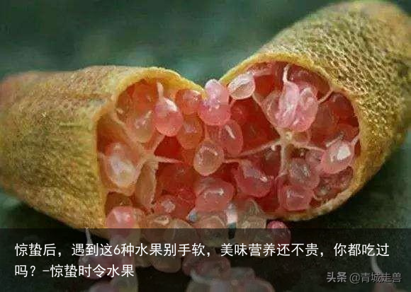 惊蛰后,遇到这6种水果别手软,美味营养还不贵,你都吃过吗?-惊蛰时令水果