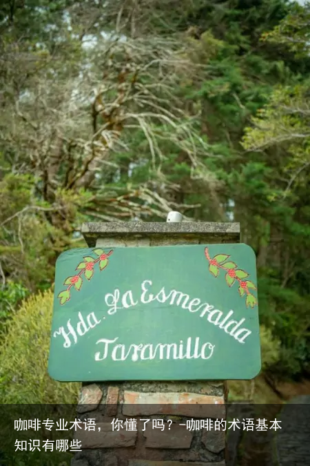 咖啡专业术语,你懂了吗?-咖啡的术语基本知识有哪些