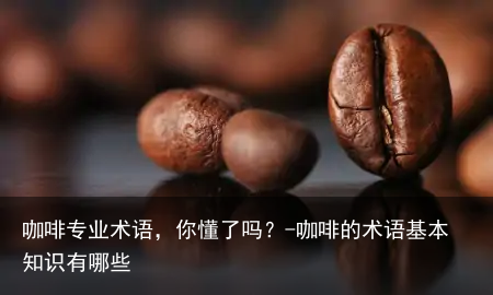 咖啡专业术语,你懂了吗?-咖啡的术语基本知识有哪些